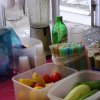 Индивидуальные занятия йога Запорожье